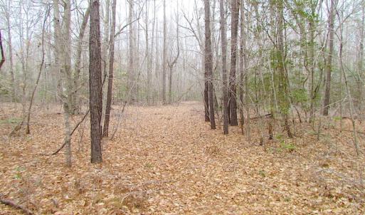 Photo of SOLD!!  55 Acres of Hunting and Timber Land with Home Site in Surry County VA!