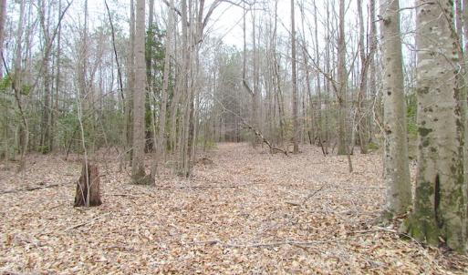 Photo of SOLD!!  55 Acres of Hunting and Timber Land with Home Site in Surry County VA!