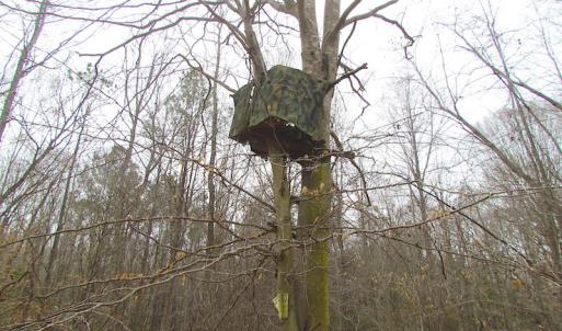 Photo of SOLD!!  55 Acres of Hunting and Timber Land with Home Site in Surry County VA!