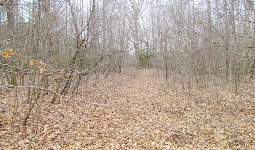 Photo of SOLD!!  55 Acres of Hunting and Timber Land with Home Site in Surry County VA!