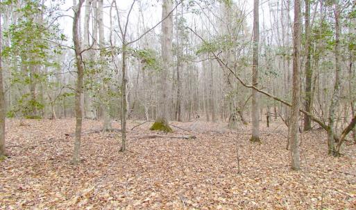 Photo of SOLD!!  55 Acres of Hunting and Timber Land with Home Site in Surry County VA!