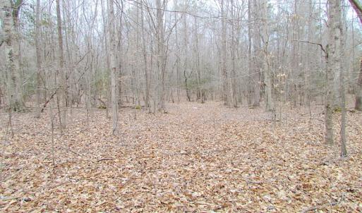 Photo of SOLD!!  55 Acres of Hunting and Timber Land with Home Site in Surry County VA!