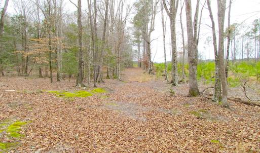 Photo of SOLD!!  55 Acres of Hunting and Timber Land with Home Site in Surry County VA!