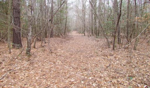 Photo of SOLD!!  55 Acres of Hunting and Timber Land with Home Site in Surry County VA!