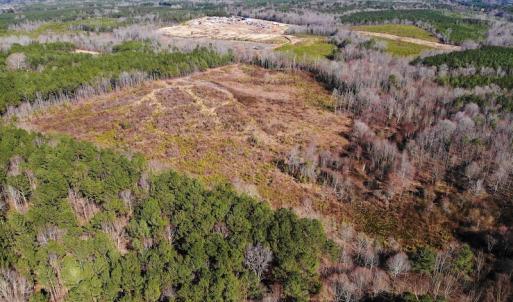 Photo of UNDER CONTRACT!  20.03 Acres of Hunting Land For Sale in Warren County NC!