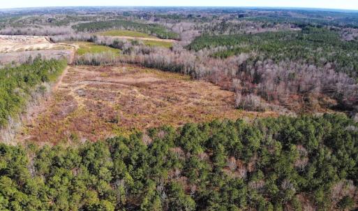 Photo of UNDER CONTRACT!  20.03 Acres of Hunting Land For Sale in Warren County NC!
