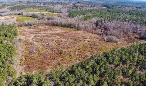 Photo of UNDER CONTRACT!  20.03 Acres of Hunting Land For Sale in Warren County NC!