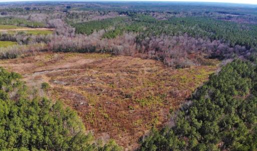Photo of UNDER CONTRACT!  20.03 Acres of Hunting Land For Sale in Warren County NC!