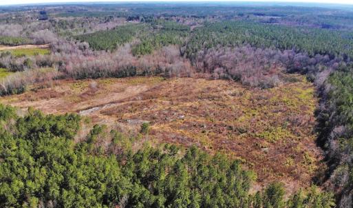 Photo of UNDER CONTRACT!  20.03 Acres of Hunting Land For Sale in Warren County NC!