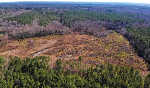 Photo of UNDER CONTRACT!  20.03 Acres of Hunting Land For Sale in Warren County NC!