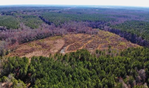 Photo of UNDER CONTRACT!  20.03 Acres of Hunting Land For Sale in Warren County NC!