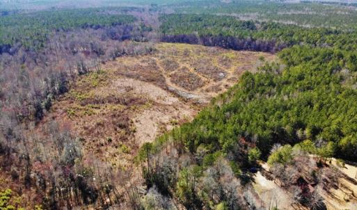 Photo of UNDER CONTRACT!  20.03 Acres of Hunting Land For Sale in Warren County NC!