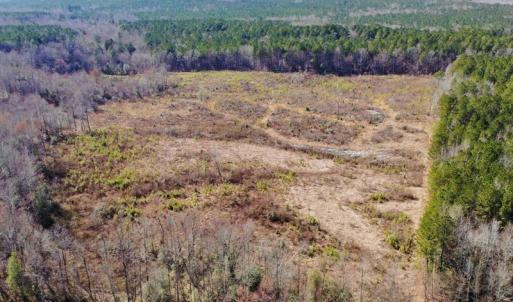 Photo of UNDER CONTRACT!  20.03 Acres of Hunting Land For Sale in Warren County NC!