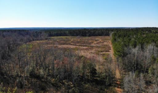 Photo of UNDER CONTRACT!  20.03 Acres of Hunting Land For Sale in Warren County NC!