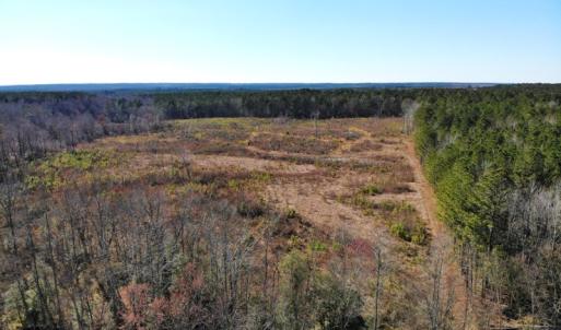 Photo of UNDER CONTRACT!  20.03 Acres of Hunting Land For Sale in Warren County NC!
