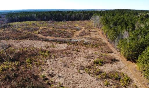 Photo of UNDER CONTRACT!  20.03 Acres of Hunting Land For Sale in Warren County NC!