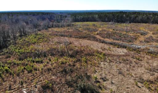 Photo of UNDER CONTRACT!  20.03 Acres of Hunting Land For Sale in Warren County NC!