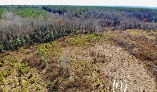 Photo of UNDER CONTRACT!  20.03 Acres of Hunting Land For Sale in Warren County NC!