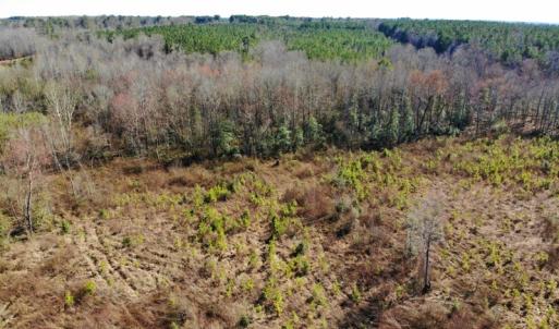 Photo of UNDER CONTRACT!  20.03 Acres of Hunting Land For Sale in Warren County NC!