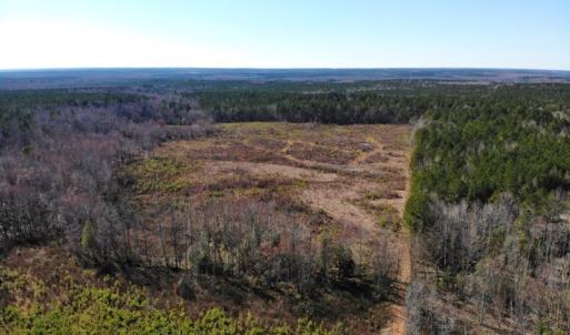Photo of UNDER CONTRACT!  20.03 Acres of Hunting Land For Sale in Warren County NC!