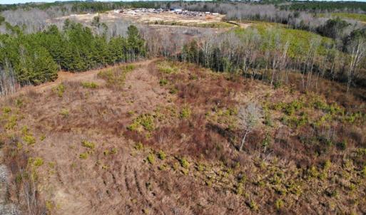 Photo of UNDER CONTRACT!  20.03 Acres of Hunting Land For Sale in Warren County NC!
