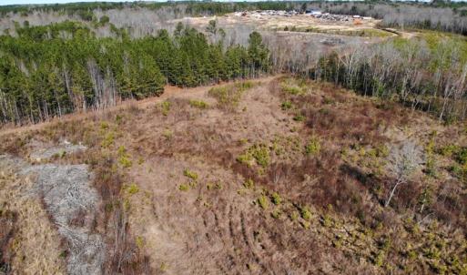 Photo of UNDER CONTRACT!  20.03 Acres of Hunting Land For Sale in Warren County NC!