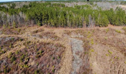 Photo of UNDER CONTRACT!  20.03 Acres of Hunting Land For Sale in Warren County NC!