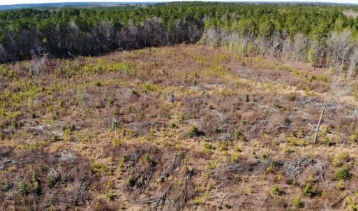 Photo of UNDER CONTRACT!  20.03 Acres of Hunting Land For Sale in Warren County NC!
