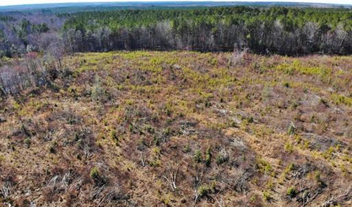 Photo of UNDER CONTRACT!  20.03 Acres of Hunting Land For Sale in Warren County NC!