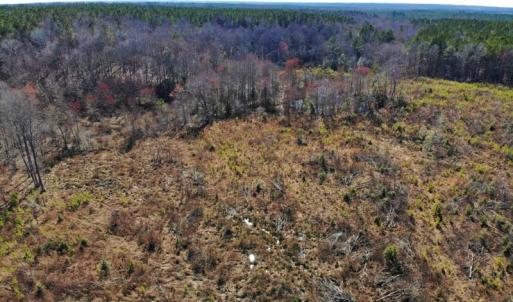 Photo of UNDER CONTRACT!  20.03 Acres of Hunting Land For Sale in Warren County NC!