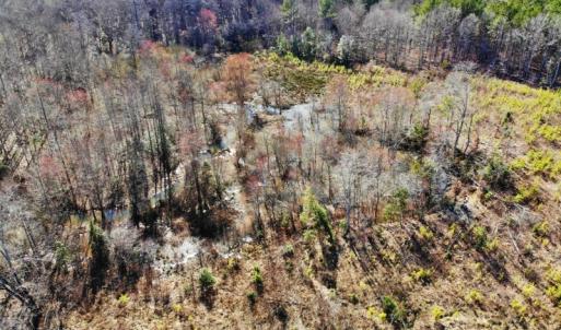 Photo of UNDER CONTRACT!  20.03 Acres of Hunting Land For Sale in Warren County NC!
