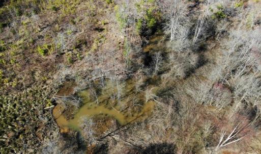 Photo of UNDER CONTRACT!  20.03 Acres of Hunting Land For Sale in Warren County NC!