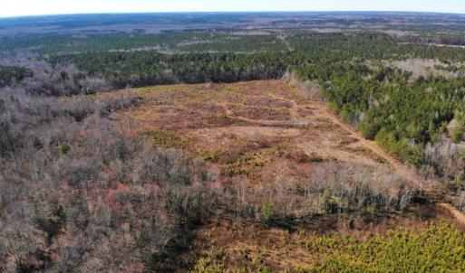 Photo of UNDER CONTRACT!  20.03 Acres of Hunting Land For Sale in Warren County NC!