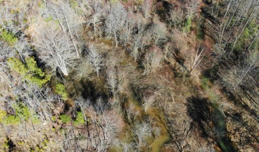 Photo of UNDER CONTRACT!  20.03 Acres of Hunting Land For Sale in Warren County NC!