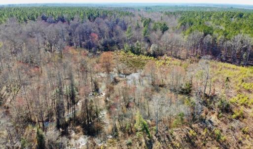 Photo of UNDER CONTRACT!  20.03 Acres of Hunting Land For Sale in Warren County NC!