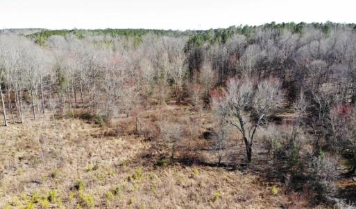 Photo of UNDER CONTRACT!  20.03 Acres of Hunting Land For Sale in Warren County NC!