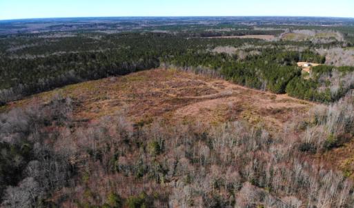 Photo of UNDER CONTRACT!  20.03 Acres of Hunting Land For Sale in Warren County NC!