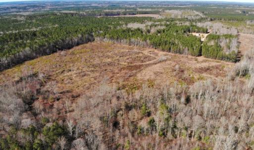 Photo of UNDER CONTRACT!  20.03 Acres of Hunting Land For Sale in Warren County NC!