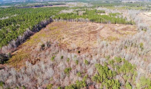 Photo of UNDER CONTRACT!  20.03 Acres of Hunting Land For Sale in Warren County NC!