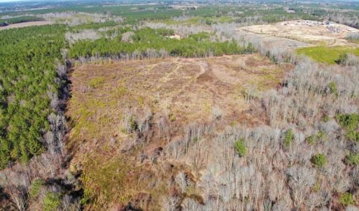 Photo of UNDER CONTRACT!  20.03 Acres of Hunting Land For Sale in Warren County NC!