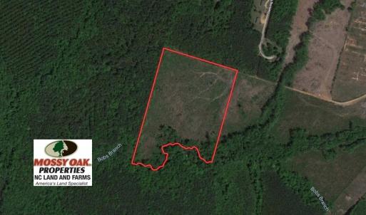 Photo of UNDER CONTRACT!  20.03 Acres of Hunting Land For Sale in Warren County NC!