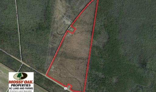 Photo of UNDER CONTRACT!   74.4 acres of Hunting and Timber Land for Sale in Dare County NC!