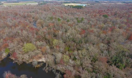 Photo of SOLD!  43.66 Acres of Creekfront Hunting Land For Sale in Greene County NC!