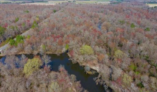 Photo of SOLD!  43.66 Acres of Creekfront Hunting Land For Sale in Greene County NC!