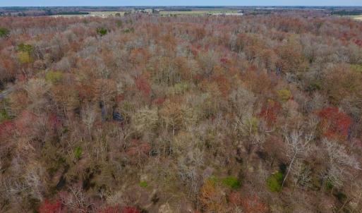 Photo of SOLD!  43.66 Acres of Creekfront Hunting Land For Sale in Greene County NC!