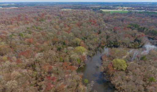 Photo of SOLD!  43.66 Acres of Creekfront Hunting Land For Sale in Greene County NC!