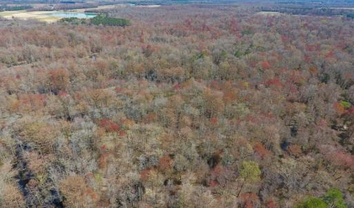 Photo of SOLD!  43.66 Acres of Creekfront Hunting Land For Sale in Greene County NC!