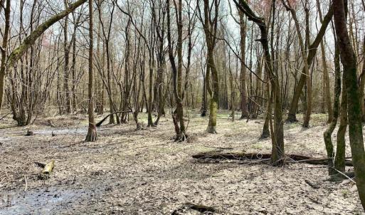 Photo of SOLD!  43.66 Acres of Creekfront Hunting Land For Sale in Greene County NC!