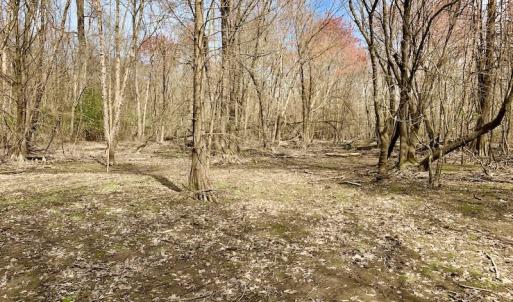 Photo of SOLD!  43.66 Acres of Creekfront Hunting Land For Sale in Greene County NC!