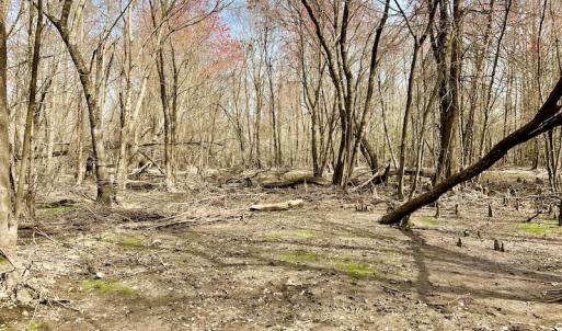 Photo of SOLD!  43.66 Acres of Creekfront Hunting Land For Sale in Greene County NC!